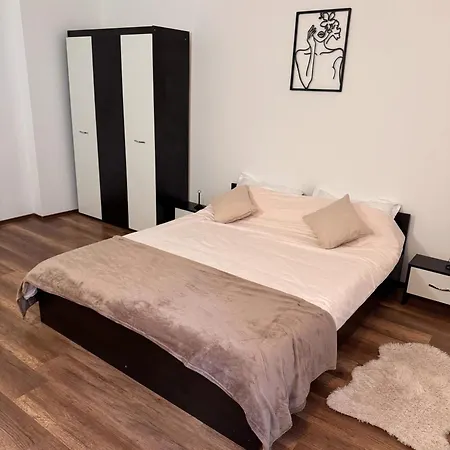 Apartment Madalina’s House Brasov