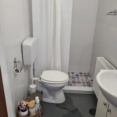 Apartment Madalina’s House Brasov